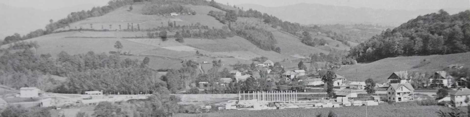 Оглас против самоће: Добросав тражи жену