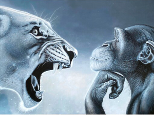 „Мамац за бес“ је реч за 2025. годину: „Rage bait“ или Интернет беснило и како му се супротставити