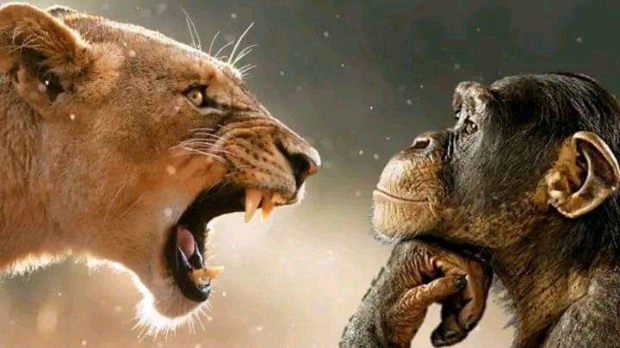 „Мамац за бес“ је реч за 2025. годину: „Rage bait“ или Интернет беснило и како му се супротставити