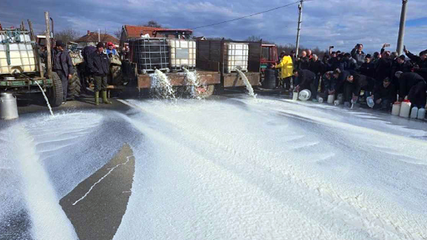 Протести и блокаде пољопривредника: Зашто треба жалити за просутим млеком, а не треба ограничити увоз